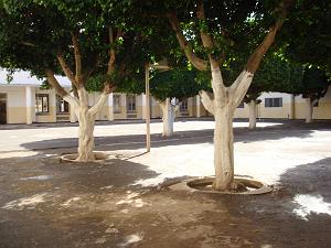 OCTOBRE 2007 AIN TEMOUCHENT ECOLE PIERRE COMBE LA COUR 042